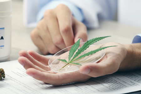 The NSW Government has committed $9 million to three world-leading clinical trials that will examine the use of cannabis and cannabis products in providing relief from a range of debilitating or terminal illnesses.